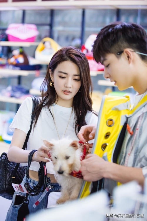 因戲生情明星！劉學義＆張予曦二爆戀情，陳星旭＆張婧儀拍完分手