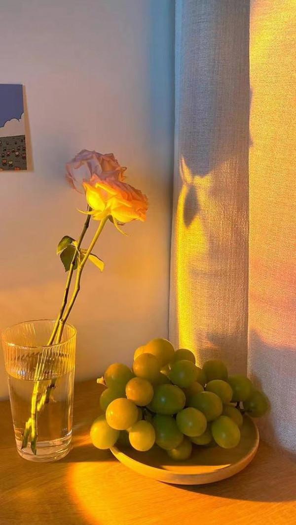 性格坦率直接，看起來傻里傻氣的星座