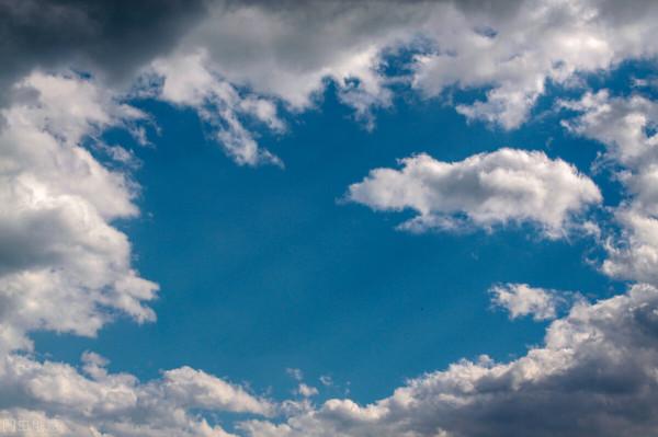 兩隻螞蟻故事的啟示 兩隻螞蟻故事的啟示