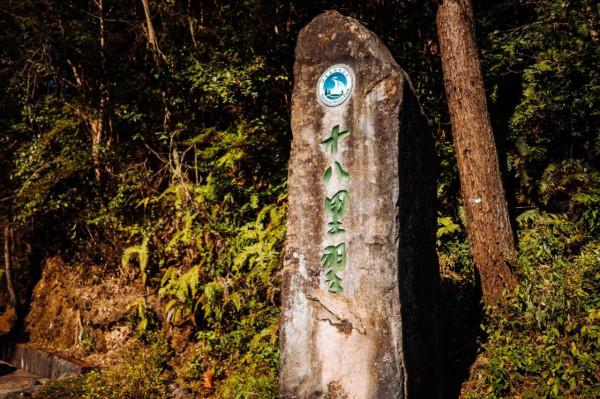 絕美秋景|江浙滬小眾自駕遊,在遂昌的深山中放空自己 絕美秋景|江浙滬小眾自駕遊,在遂昌的深山中放空自己