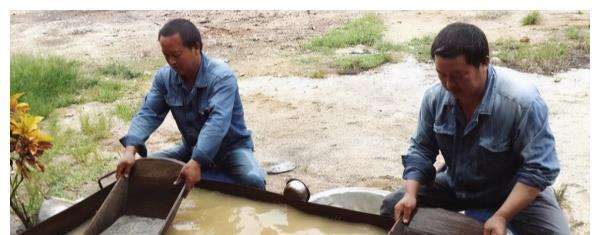 中國“上林幫”非洲淘金：日收入10萬元，常備200克金子保命