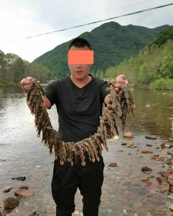 遼寧一溪流筍殼魚“成災”，隨便抓抓就十幾斤，網友：這魚很值錢
