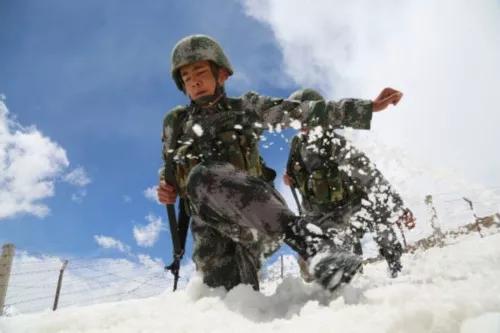 戰士培養狼群,成邊防好哨兵 戰士培養狼群,成邊防好哨兵