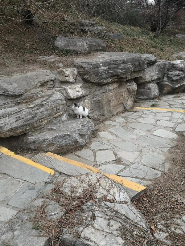 美麗的中山公園