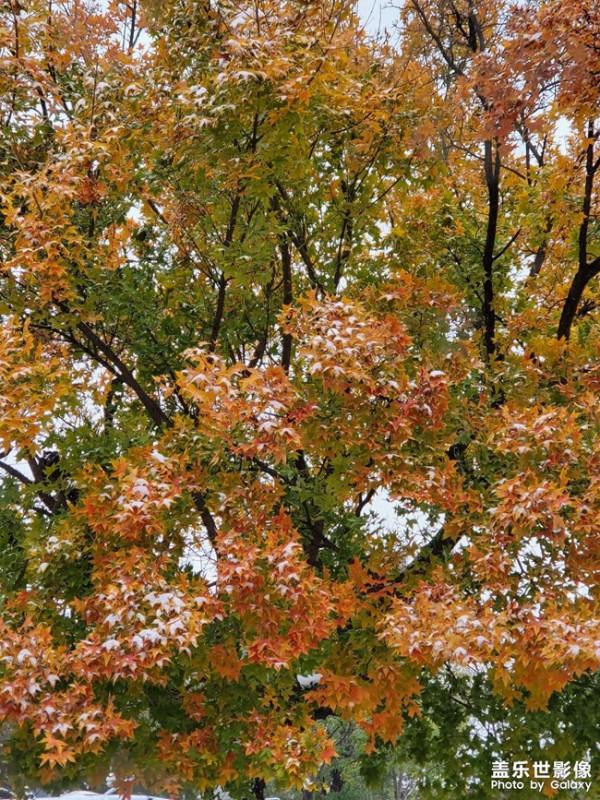 你們想要的三星W22故宮雪景大片，它來啦