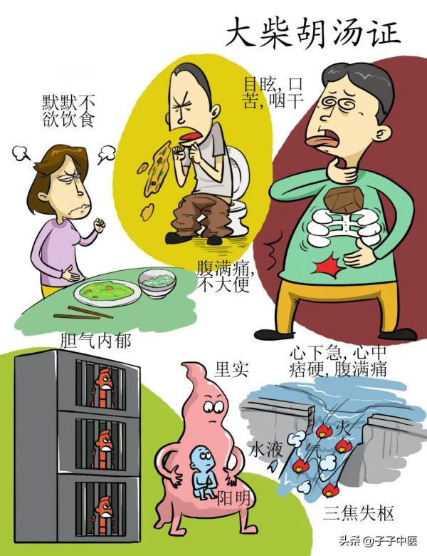 全本《傷寒論》高畫質漫畫版——簡單、好看、好掌握 全本《傷寒論》高畫質漫畫版——簡單、好看、好掌握