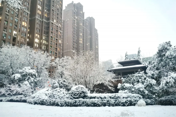 海馬人的朋友圈美爆了！戳進來，看看雪後海馬有多美