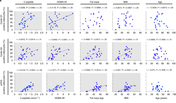 《自然·醫學》:脂肪細胞“長胖”200倍的機制找到了!科學家首次發現,脂肪細胞竟然也可進入細胞週期丨科學大發現 《自然·醫學》:脂肪細胞“長胖”200倍的機制找到了!科學家首次發現,脂肪細胞竟然也可進入細胞週期丨科學大發現