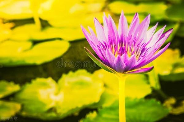 此時陽光正暖,中老年朋友經常出門曬太陽,或有七大好處 此時陽光正暖,中老年朋友經常出門曬太陽,或有七大好處