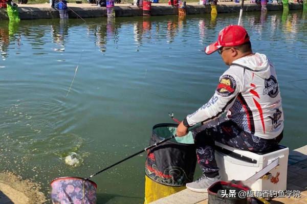 國慶節假期適合釣哪些魚類?國慶節假期的釣魚攻略 國慶節假期適合釣哪些魚類?國慶節假期的釣魚攻略