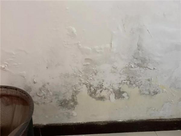 衛生間門口漏水，你中招了嗎？我給你講真話，你相信嗎？