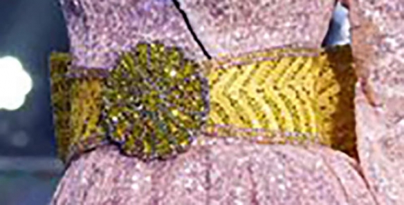 日本環球小姐參賽服裝引爭議：登臺亮相後飽受批評