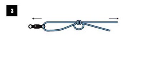 釣魚人必須知道的四種基礎線結綁法