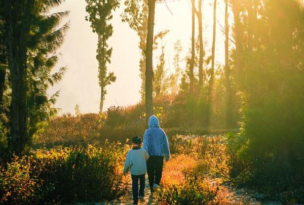 父母如何幫助孩子立志？喬峰、慕容復人生失敗的本質原因是什麼？