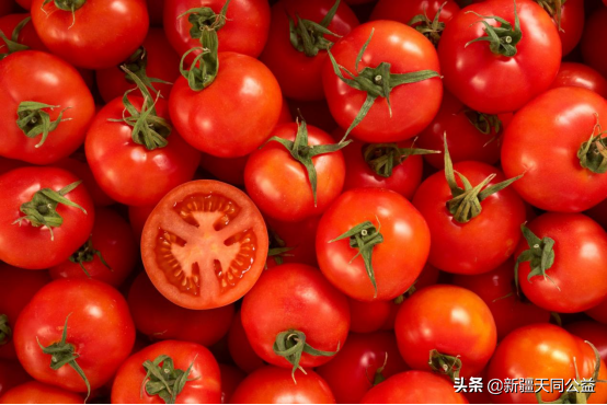 西紅柿能減少與艾滋有關的腸道炎症？