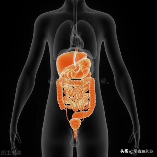 消化系統出了問題,容易表現在哪裡呢?醫生:早發現早治療 消化系統出了問題,容易表現在哪裡呢?醫生:早發現早治療