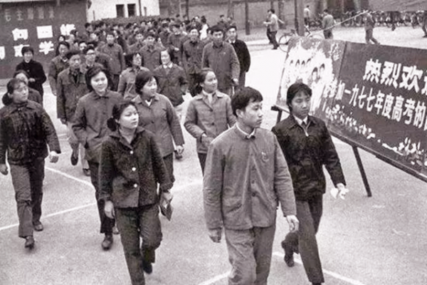 觀察：縣城再無清華北大的後果