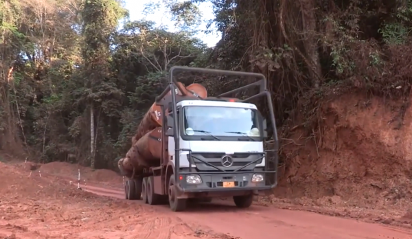 非洲小哥開賓士卡車運紅木,一車50噸一根賣幾十萬,路上全是車禍 非洲小哥開賓士卡車運紅木,一車50噸一根賣幾十萬,路上全是車禍