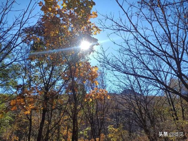 徒步延慶鳳凰坨,登高賞秋色 徒步延慶鳳凰坨,登高賞秋色