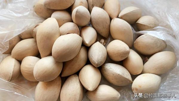 香辛料寶典：60種商用香料的用途和特性，香料該如何搭配？超實用