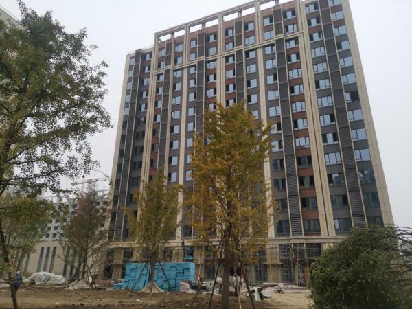 小米旁邊的永珍悅府值得投資嗎？