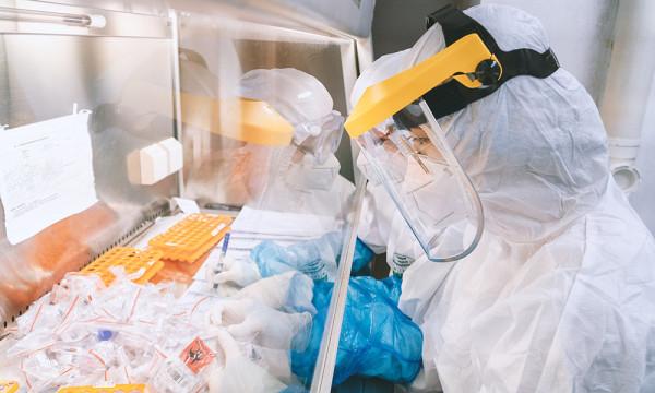 清華大學張林琦團隊一名成員找到的抗體，可以對抗奧密克戎