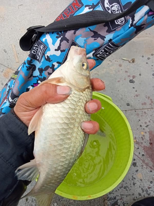 寒流大風也沒阻擋釣魚人的腳步，依然前行……