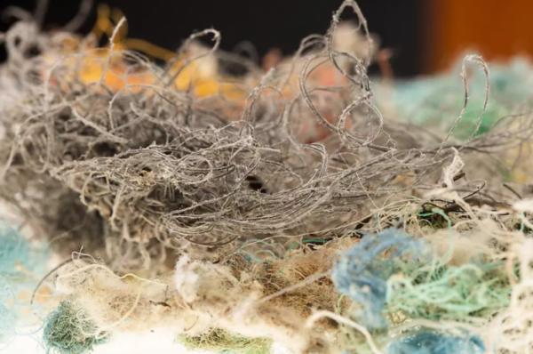 研究稱用於拖動漁網的聚合物繩索可能是微塑膠汙染的一大來源