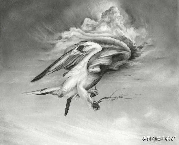 被羽毛包圍的鳥兒緊緊抓住他們流血的心 被羽毛包圍的鳥兒緊緊抓住他們流血的心