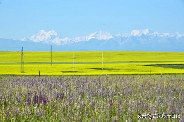 新疆與哈薩克交界,有個美麗的縣,曾是烏孫古國所在地 新疆與哈薩克交界,有個美麗的縣,曾是烏孫古國所在地