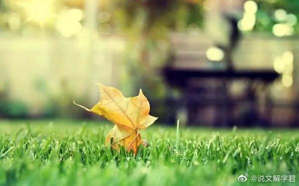 「解字」道“安”說“寧”