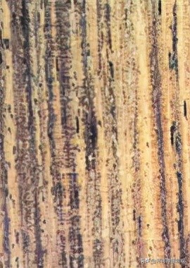 如何辨識明代傢俱木材新解全集(傢俱14) 如何辨識明代傢俱木材新解全集(傢俱14)