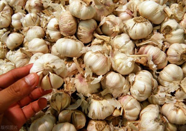 蛋價、蒜價危機四伏,草魚走高,豬肉一斤漲3元,農產品還漲嗎 蛋價、蒜價危機四伏,草魚走高,豬肉一斤漲3元,農產品還漲嗎