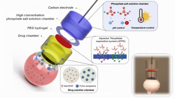 《AM》基於水凝膠離子迴路的高強度離子匯入裝置 《AM》基於水凝膠離子迴路的高強度離子匯入裝置