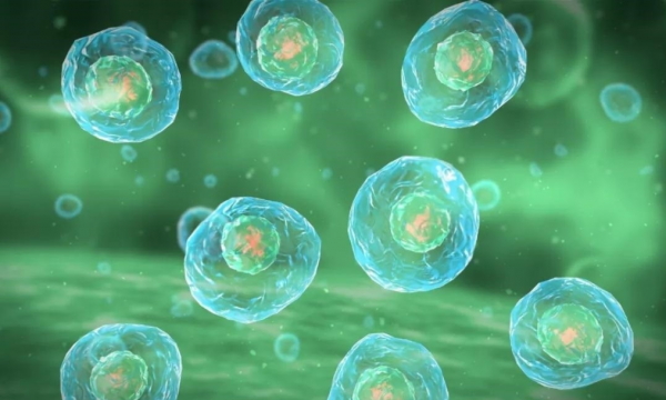 300億元超級大市場!每年約30萬名試管嬰兒誕生,費用10萬元起? 300億元超級大市場!每年約30萬名試管嬰兒誕生,費用10萬元起?