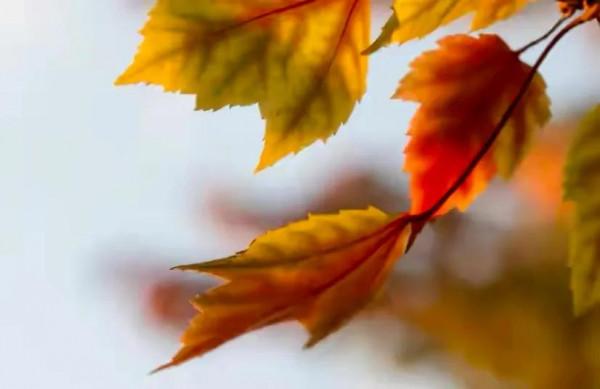 “身體健康是本錢”道德經裡教你如何調養身體 “身體健康是本錢”道德經裡教你如何調養身體