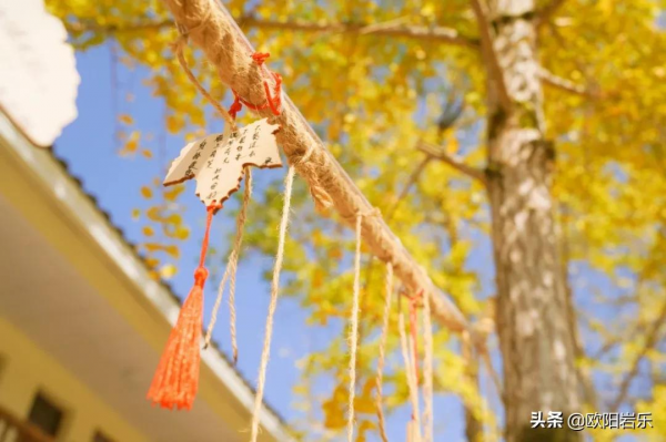 國內34省區最值得去的地方，個個都美得有魔力，此生不去心不安