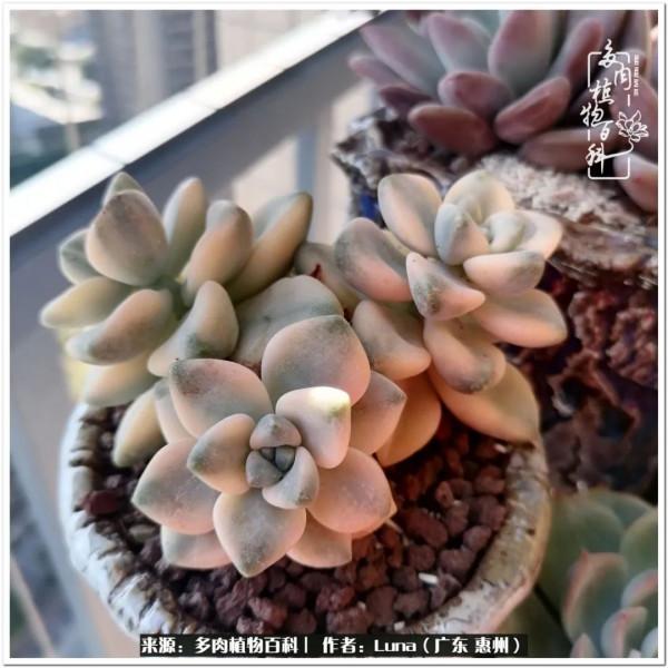 學會和解:與自己、與他人、與世界 學會和解:與自己、與他人、與世界