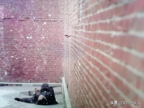 《風箏》與《懸崖》——高手過招,涇渭分明 《風箏》與《懸崖》——高手過招,涇渭分明