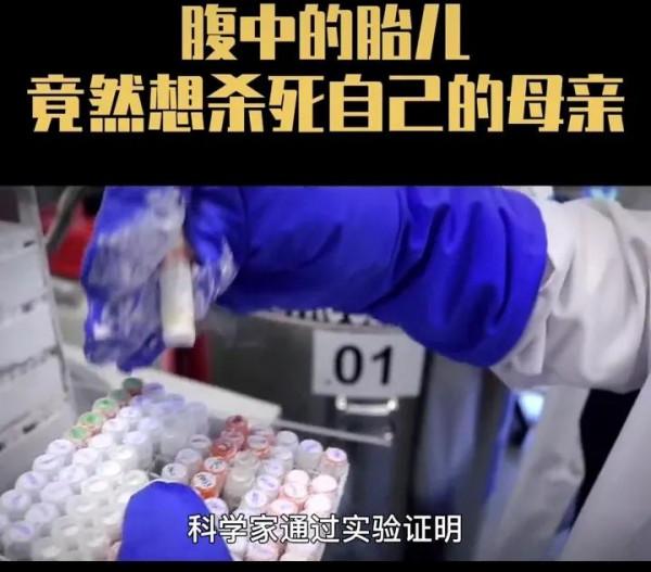 “十月懷胎”竟然是一場無情的戰爭 “十月懷胎”竟然是一場無情的戰爭