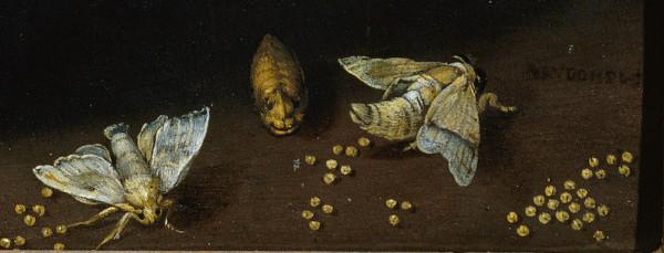 卡拉拉學院藏品展：一些細節，與花的記憶