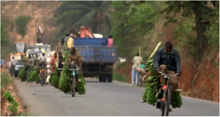 非洲腳踏車騎手：載500斤香蕉騎行100公里，時速70公里不踩剎車