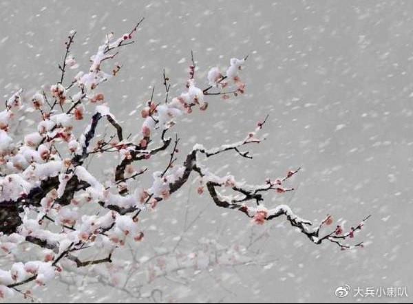 寒潮、立冬、初雪,和幾首美到骨子裡的詩 寒潮、立冬、初雪,和幾首美到骨子裡的詩