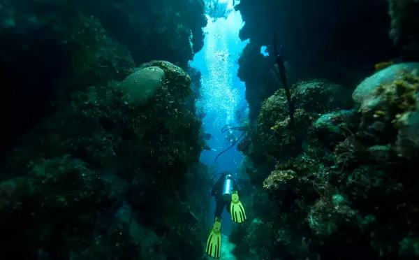 貝里斯大藍洞：神秘幽暗，世界最大的水下洞穴之一