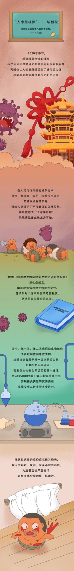 “人命黑板擦”——埃博拉丨微生物的那些事兒