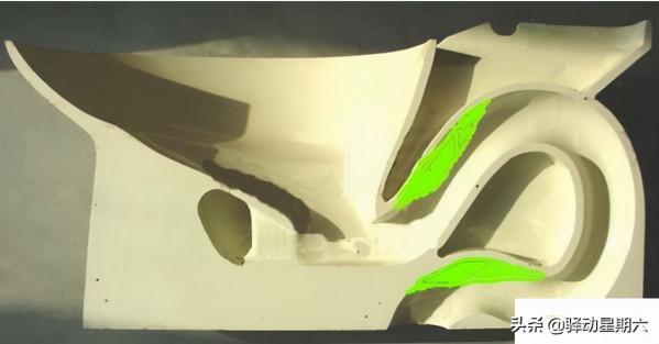 馬桶手紙到底能不能直接一起沖走