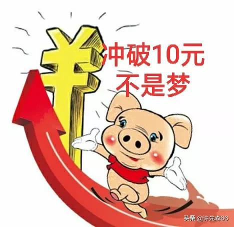 豬價“沖天”上漲,多重利好因素“添動力”,豬價漲至10元不是夢 豬價“沖天”上漲,多重利好因素“添動力”,豬價漲至10元不是夢