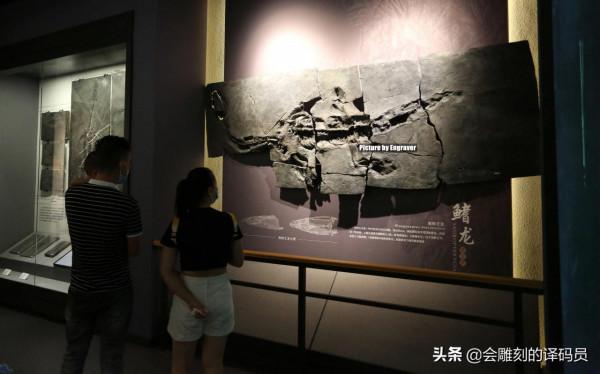 你吃過魚,但你見過“魚龍”嗎?就在我國貴州曾經就是魚龍的天堂 你吃過魚,但你見過“魚龍”嗎?就在我國貴州曾經就是魚龍的天堂