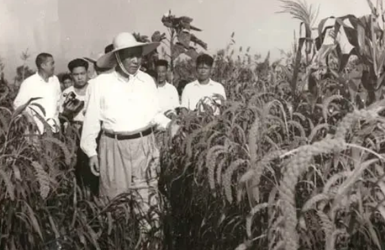 52年毛澤東視察黃河,一六旬老太趕來詢問:主席,斯大林咋沒來? 52年毛澤東視察黃河,一六旬老太趕來詢問:主席,斯大林咋沒來?