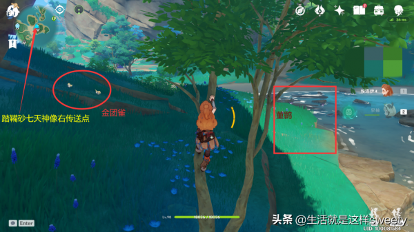 原神四方之網可捕捉小動物位置彙總一覽